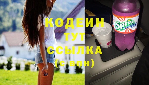 дурь Нея