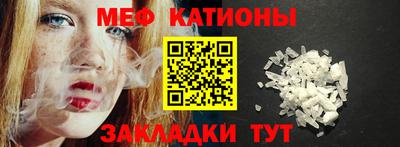 шишки Заволжье