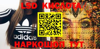 шишки Заволжье