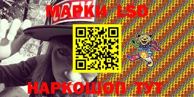 шишки Заволжье