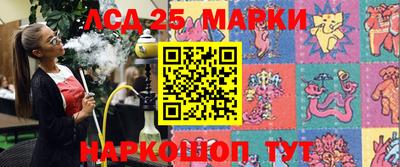 шишки Беслан