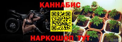 первитин Заводоуковск