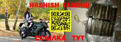 шишки Заволжье