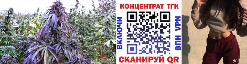Купить  Нефтекамск  Дистиллят ТГК концентрат 