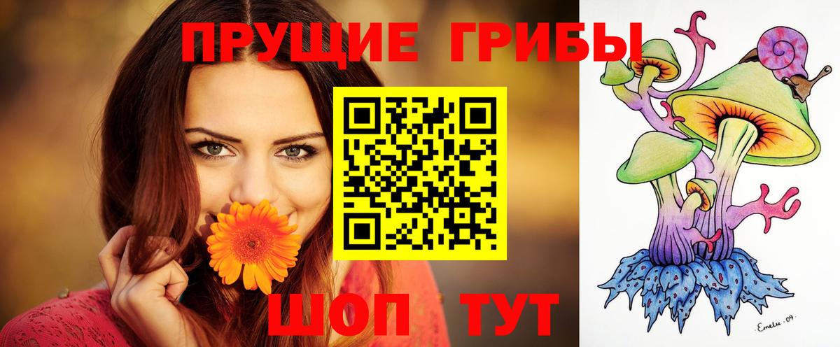 Галлюциногенные грибы Psilocybine cubensis  Нефтекамск 